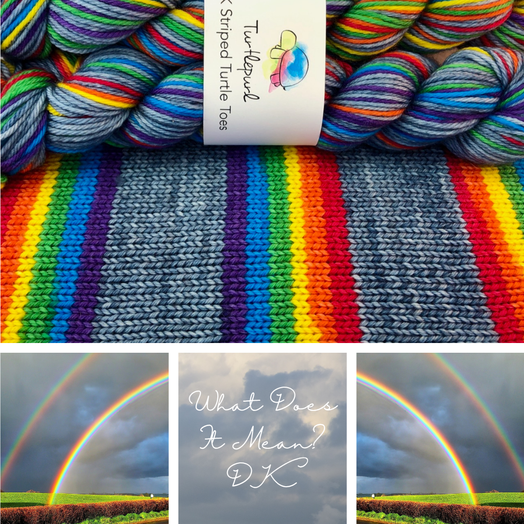 What Does it Mean? - Merino DK Sock Yarn