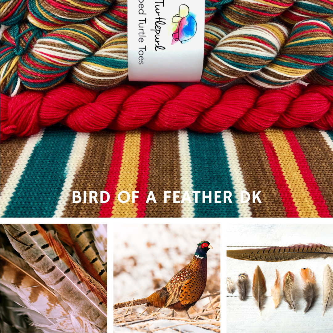 Bird of a Feather With Heel and Toe - Merino DK Sock Yarn