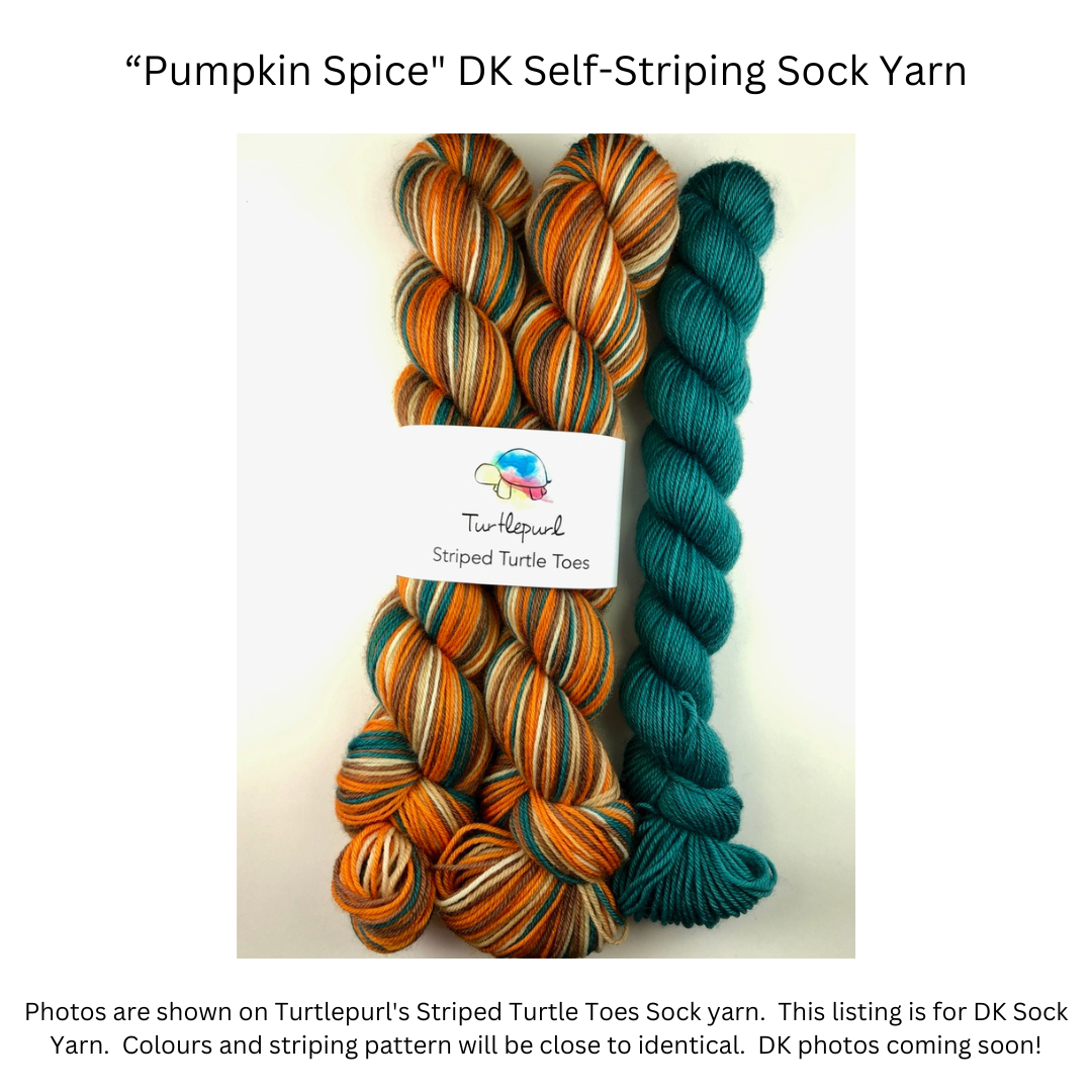 Pumpkin Spice With Heel and Toe - Merino DK Sock Yarn