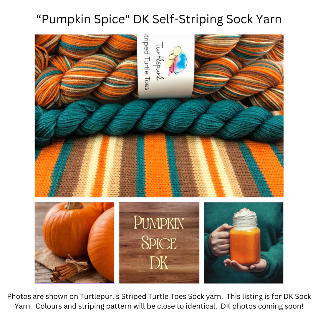 Pumpkin Spice With Heel and Toe - Merino DK Sock Yarn