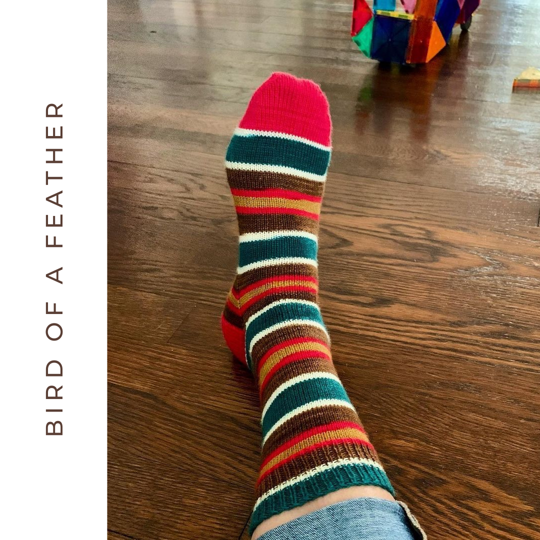Bird of a Feather With Heel and Toe - Merino Sock Yarn