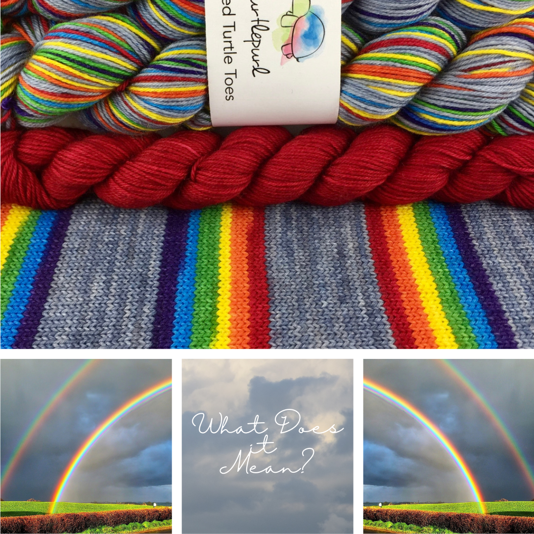 What Does it Mean? With Heel and Toe - Merino Sock Yarn