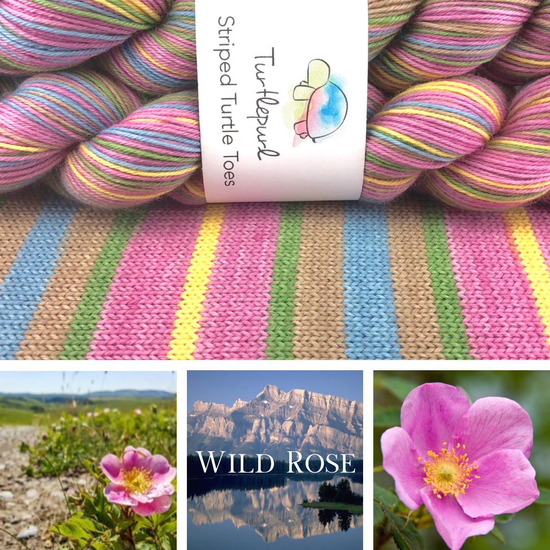 Wild rose self-striping sock yarn