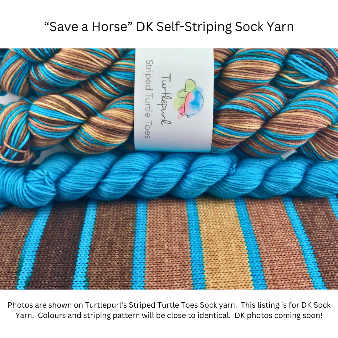 Save a horse self-striping sock yarn