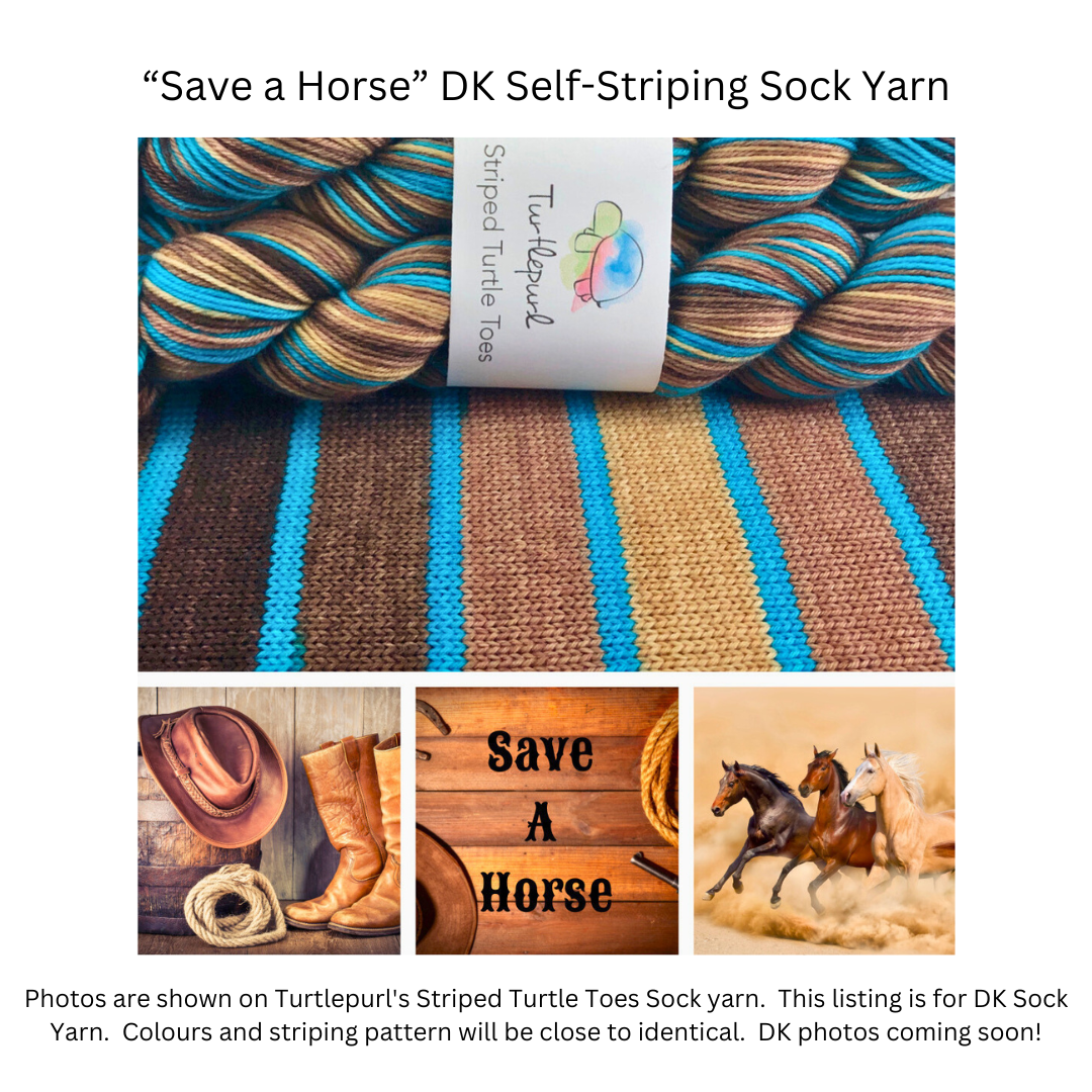 Save a horse self-striping sock yarn