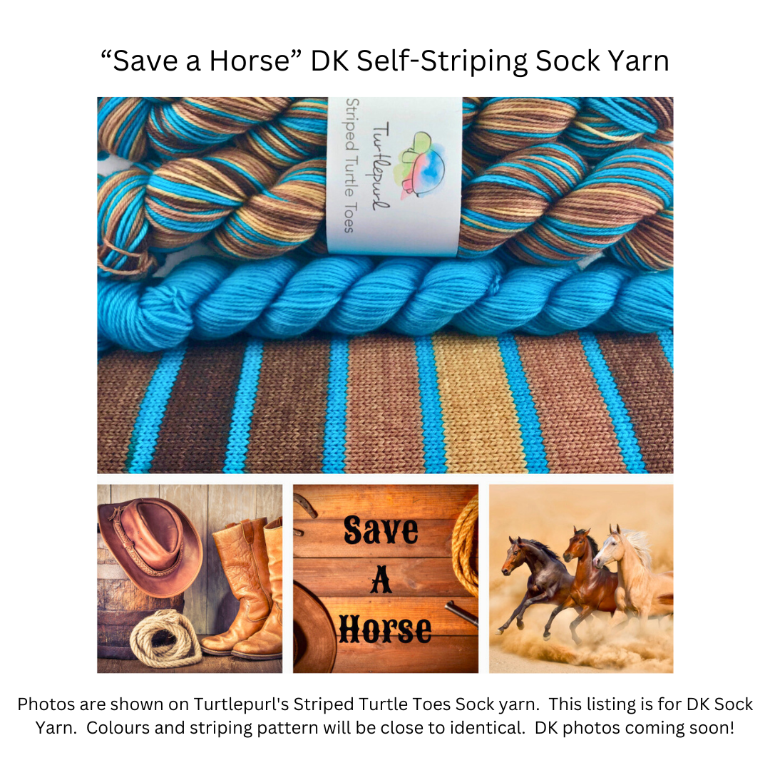 Save a horse self-striping sock yarn