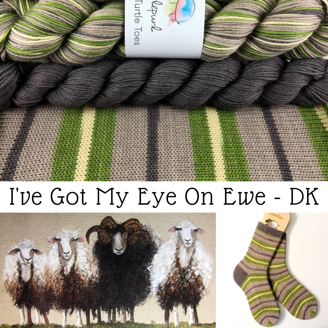 I've Got My Eye On Ewe With Heel and Toe - Merino DK Sock Yarn
