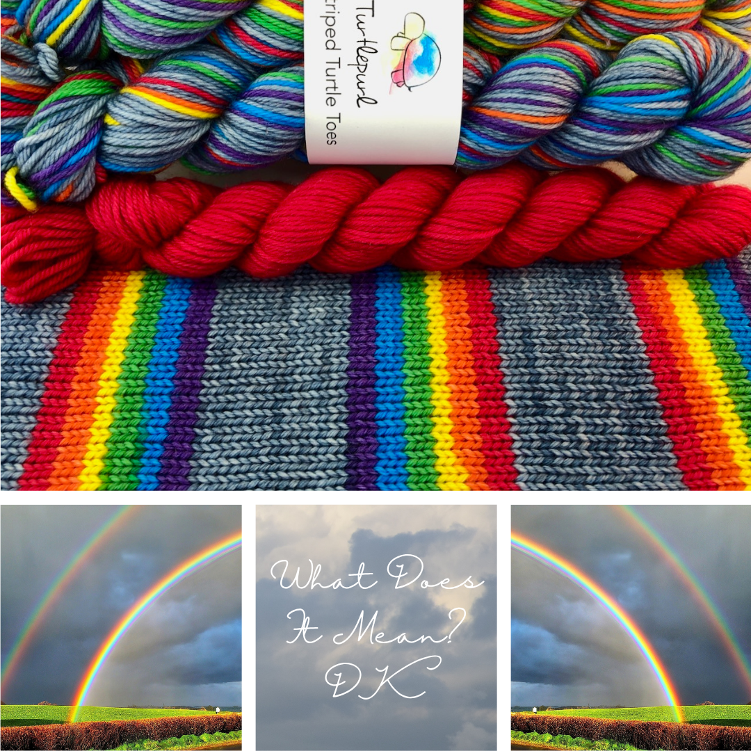 What Does it Mean? With Heel and Toe - Merino DK Sock Yarn - Ship by Nov 10th