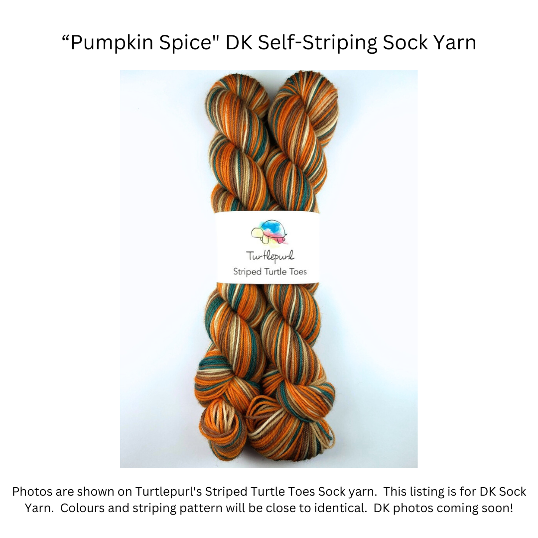 Pumpkin Spice - Merino DK Sock Yarn