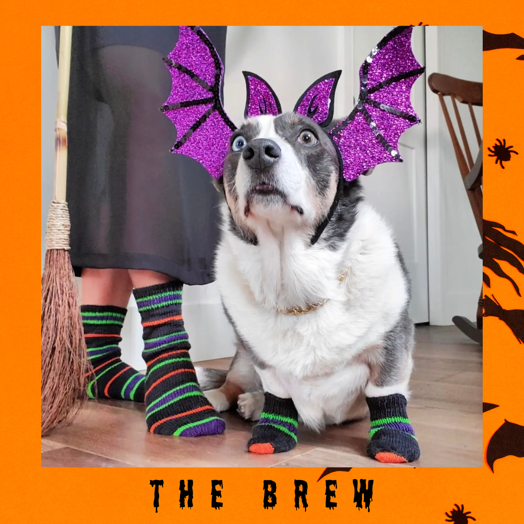 The Brew With Heel and Toe - Merino Sock Yarn - Ship by Sept 2nd