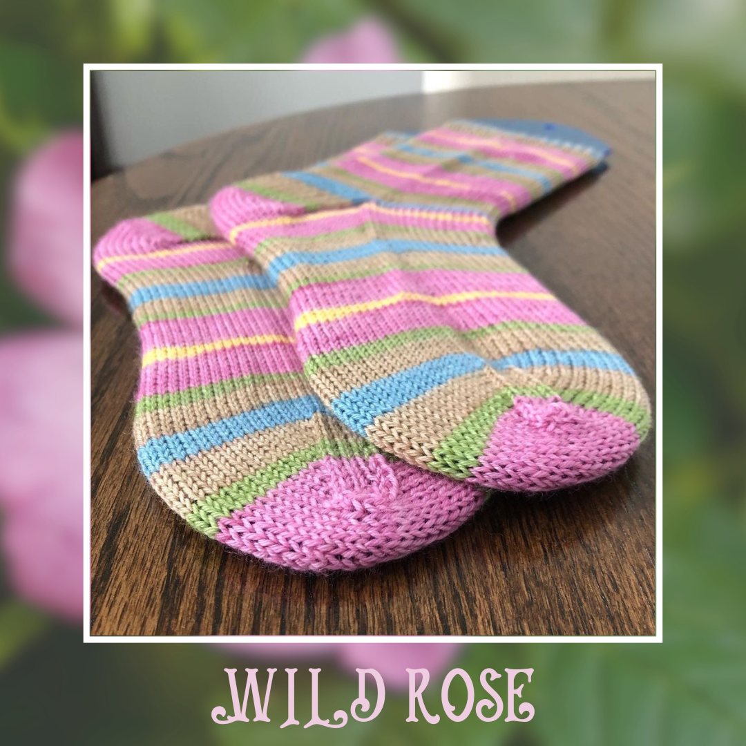 Wild Rose With Heel and Toe - Merino Sock Yarn