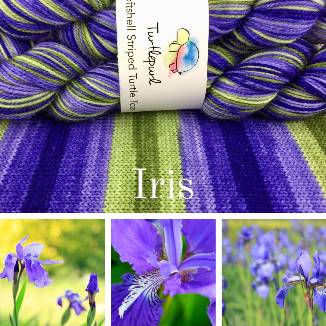 Iris Self-striping sock yarn