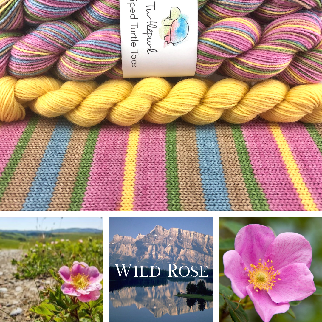 Wild rose self-striping sock yarn