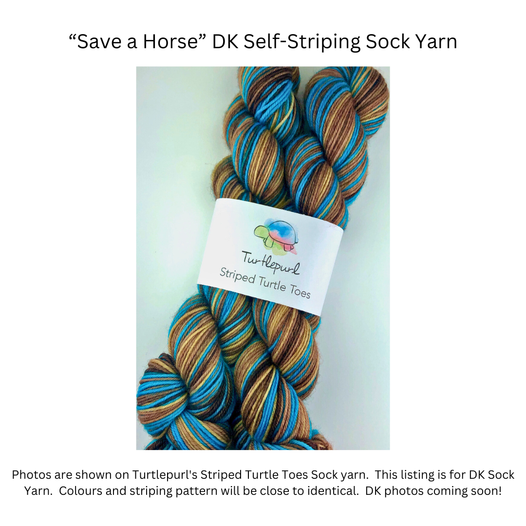 Save a horse self-striping sock yarn