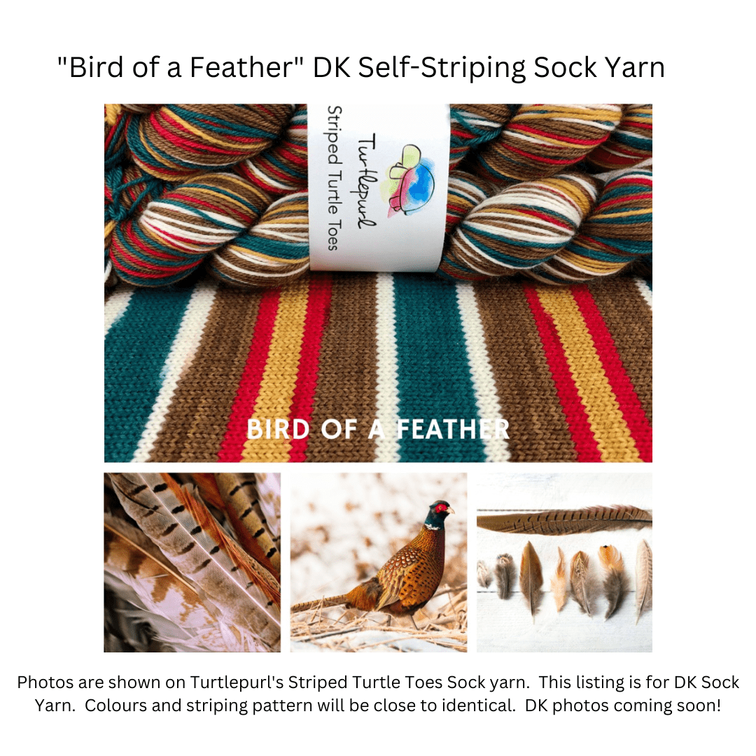 Bird of a feather Self-striping sock yarn
