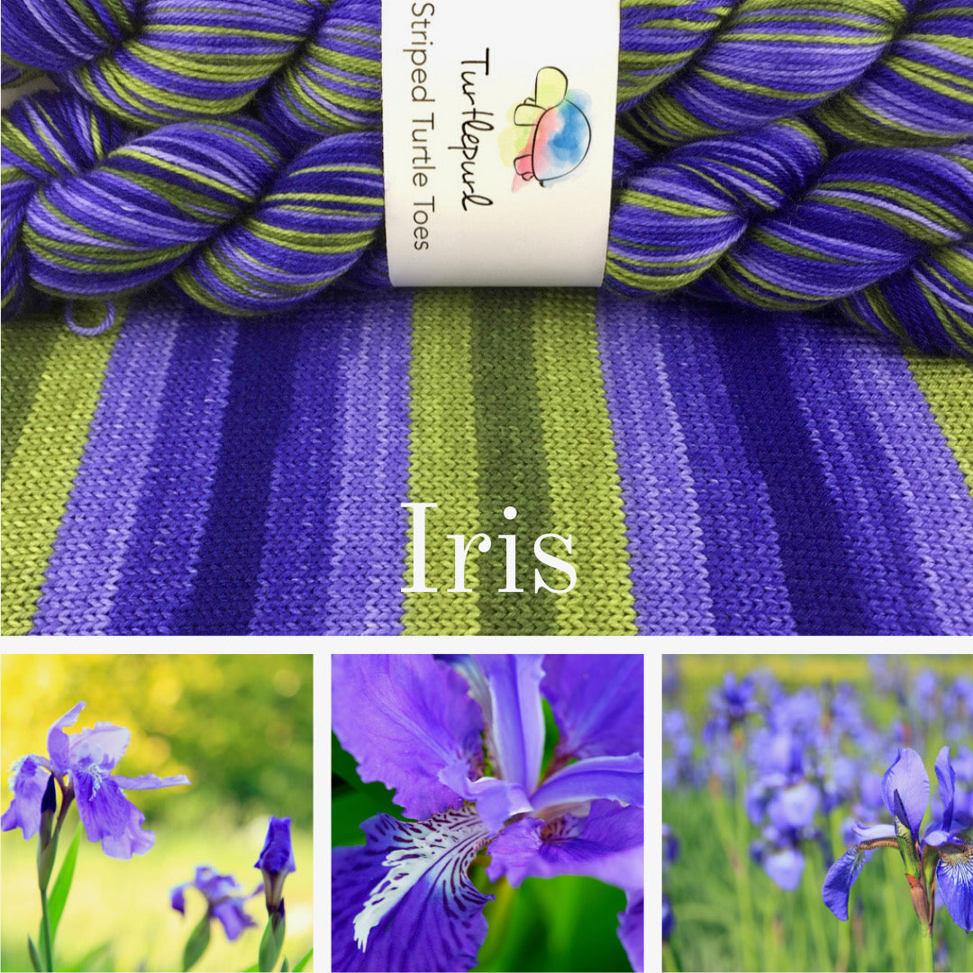 Iris self-striping sock yarn