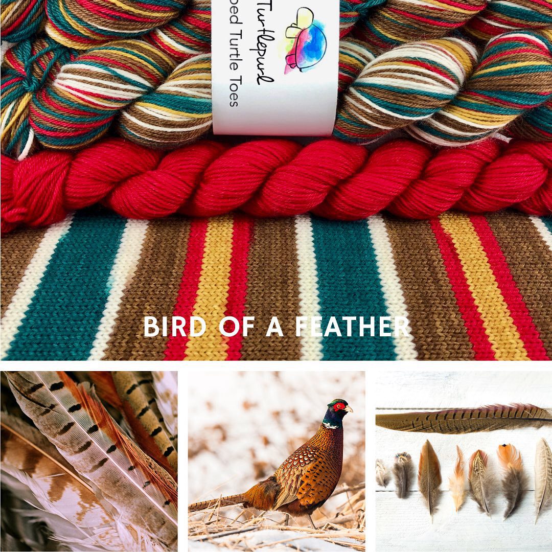 Bird of a feather self-striping sock yarn