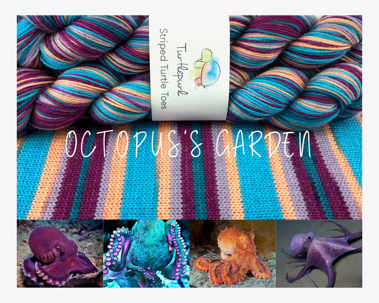 Octopuss gardenself-striping sock yarn