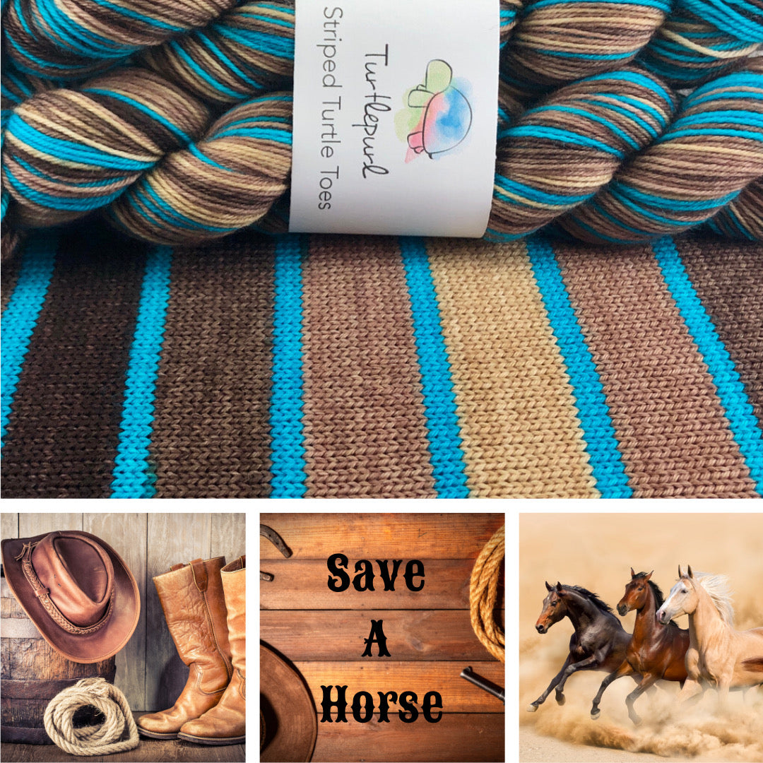 Save a horse self-striping sock yarn